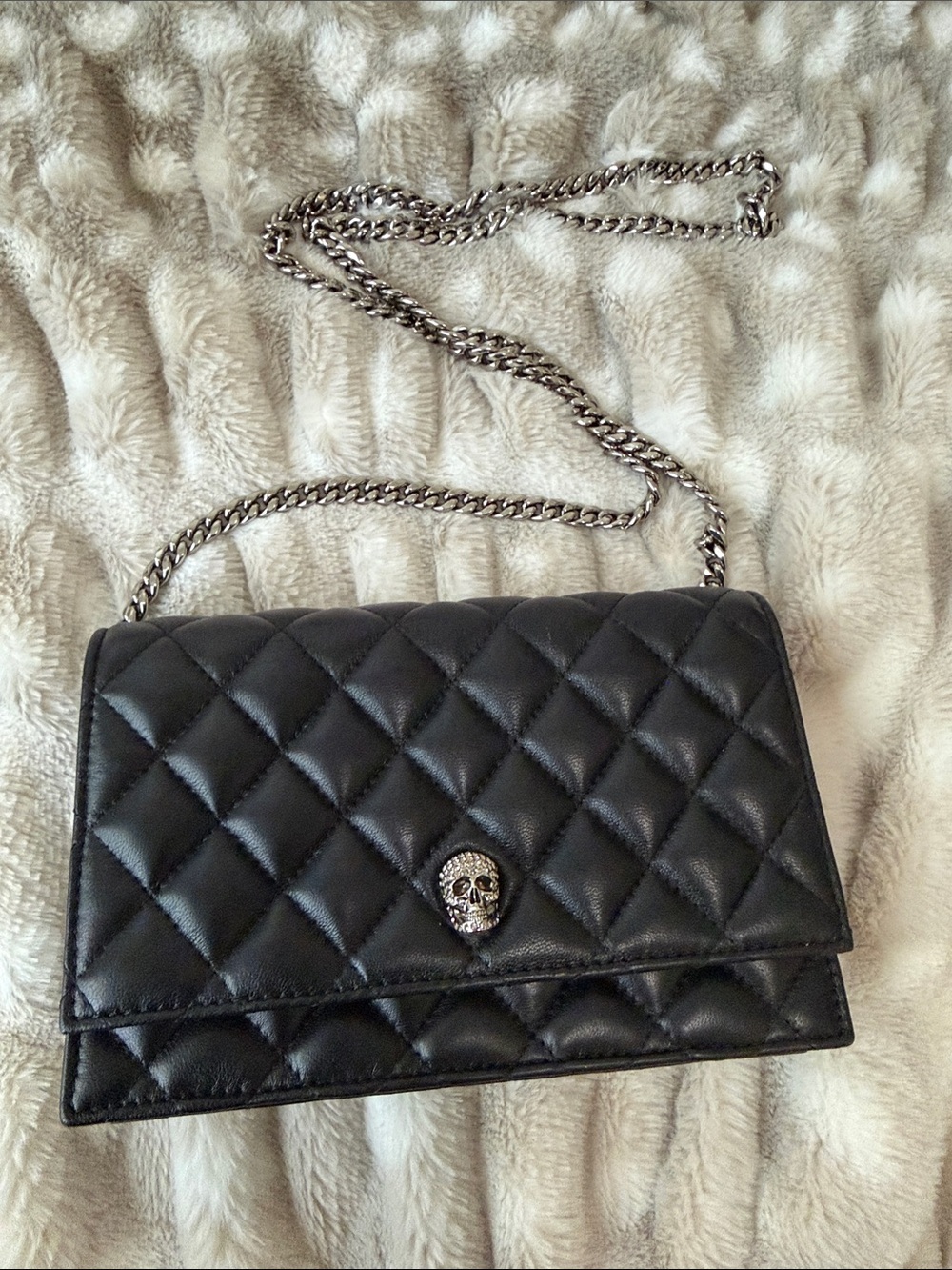 Beautiful Alexander McQueen small skull bag